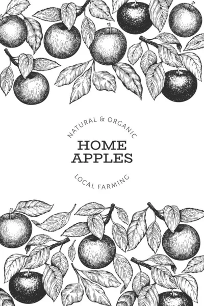 Appleのブランチデザインテンプレート 手描きベクトルガーデンフルーツイラスト エングレービングされたスタイルのフルーツフレーム ヴィンテージ植物バナー — ストックベクタ