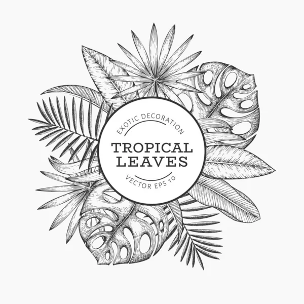 Trópusi Növények Banner Design Kézzel Rajzolt Trópusi Nyári Egzotikus Levelek — Stock Vector