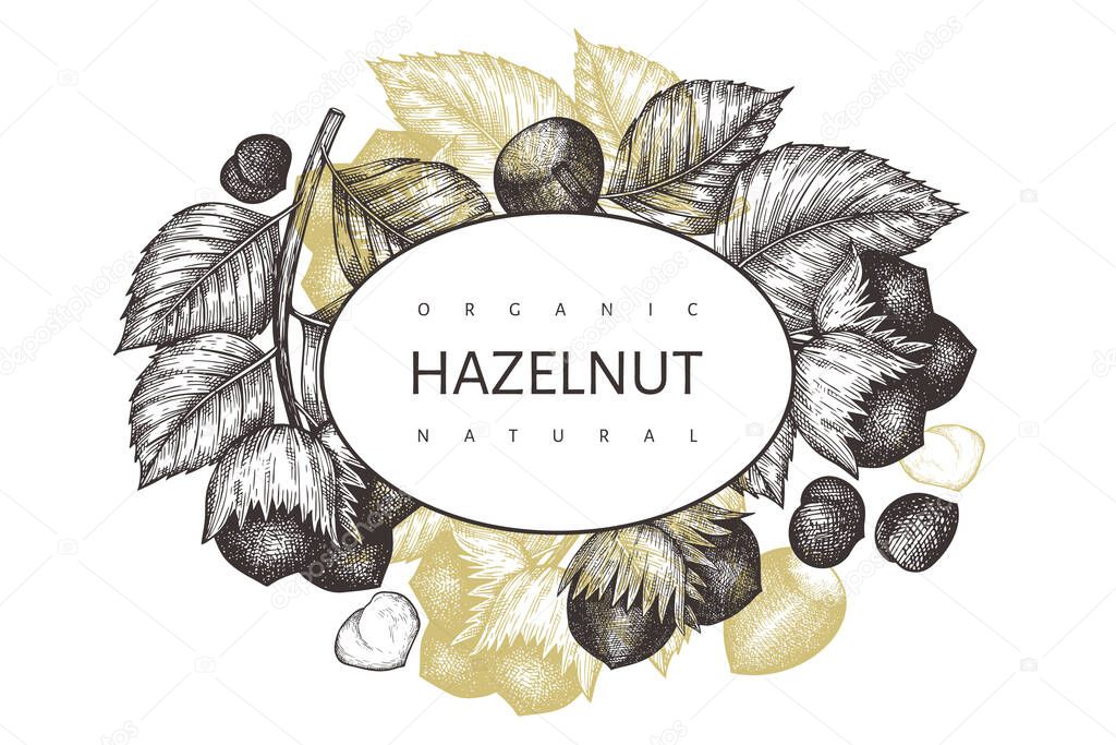 Hand drawn sketch hazelnut design template. Organic food vector illustration on white background. Vintage nut illustration. Engraved style botanical background.