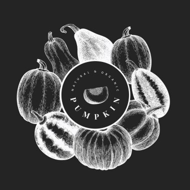 Balkabağı tasarım şablonu. Tebeşir tahtasında vektör el çizimleri. Balkabağı hasadıyla klasik tarzda Şükran Günü arkaplanı. Sonbahar arkaplanı.