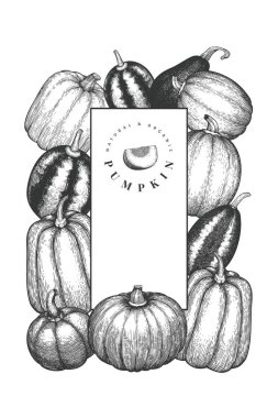 Balkabağı tasarım şablonu. Vektör el çizimleri. Balkabağı hasadıyla klasik tarzda Şükran Günü arkaplanı. Sonbahar arkaplanı.