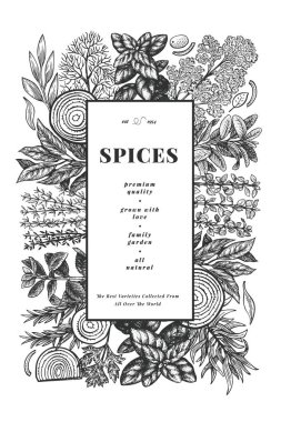 Mutfak otları afiş şablonu. El çizimi klasik botanik çizimi. İşlemeli stil. Antika gıda arka planı.