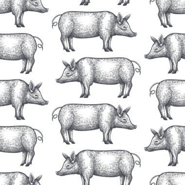 Hand drawn farm animals background. Vector pig seamless pattern. Retro hog illustration  clipart