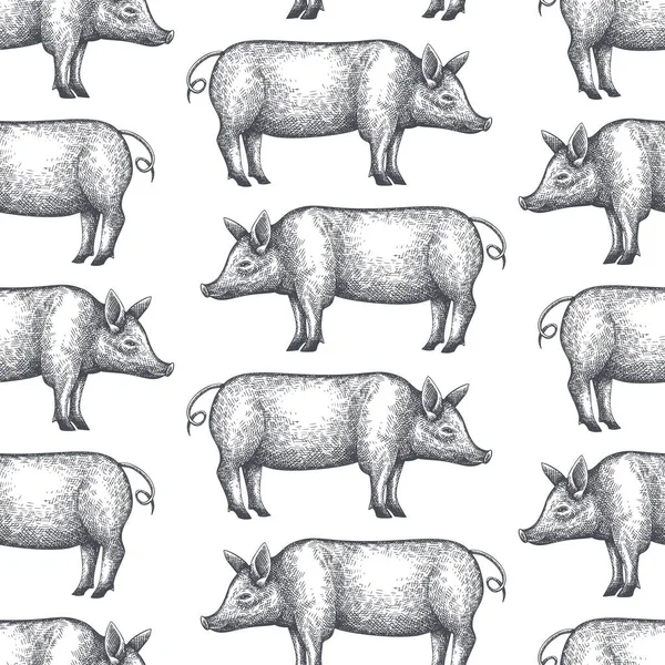 手工绘制的农场动物背景 病媒猪无缝图案 复古猪图解 — 图库矢量图片