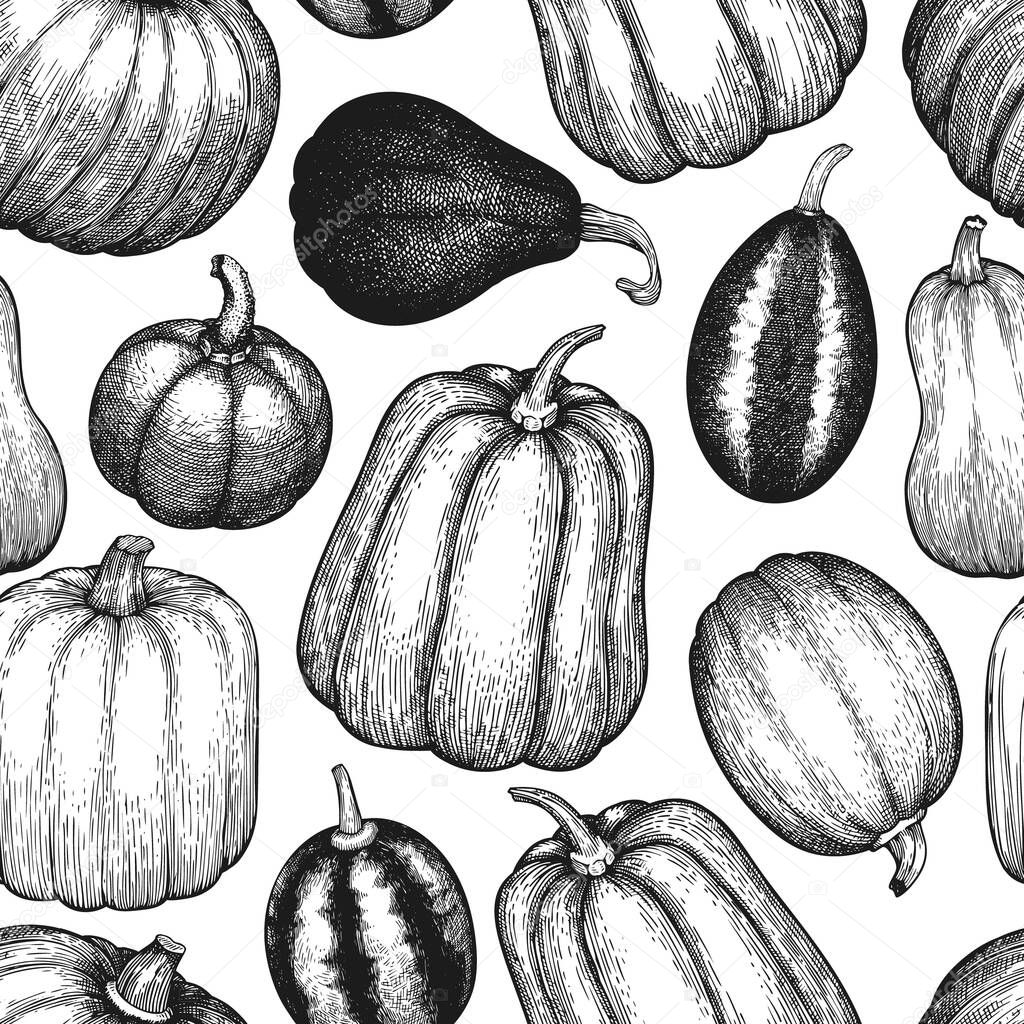 Pumpkin seamless pattern. Vector hand drawn illustrations. Thanksgiving backdrop in vintage style with pumpkin harvest. Autumn background.