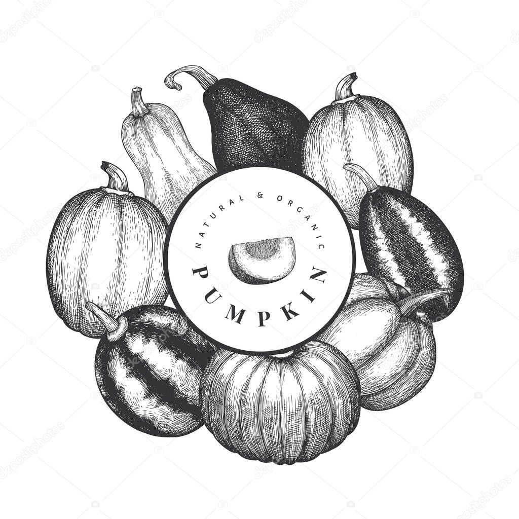 Pumpkin design template. Vector hand drawn illustrations. Thanksgiving backdrop in vintage style with pumpkin harvest. Autumn background.