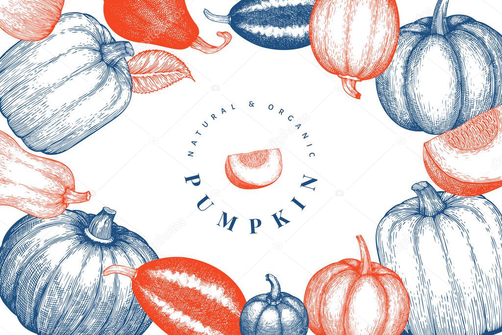 Pumpkin design template. Vector hand drawn illustrations. Thanksgiving backdrop in vintage style with pumpkin harvest. Autumn background.