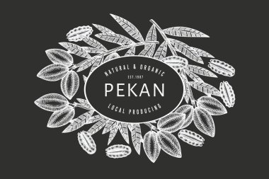 El yapımı ceviz dalı ve çekirdek dizayn şablonu. Tebeşir tahtasında organik gıda vektör çizimi. Retro fındık çizimi. İşlenmiş biçim botanik resim.