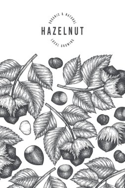 El çizimi fındık tasarımı şablonu. Beyaz arka planda organik gıda vektör illüstrasyonu. Klasik fındık çizimi. İşlenmiş biçim botanik arkaplanı.