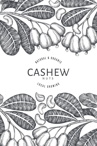 Met Hand Getekend Schets Cashew Ontwerp Template Biologische Voedselvector Illustratie — Stockvector