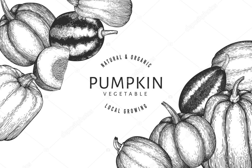 Pumpkin design template. Vector hand drawn illustrations. Thanksgiving backdrop in retro style with pumpkin harvest. Autumn background.