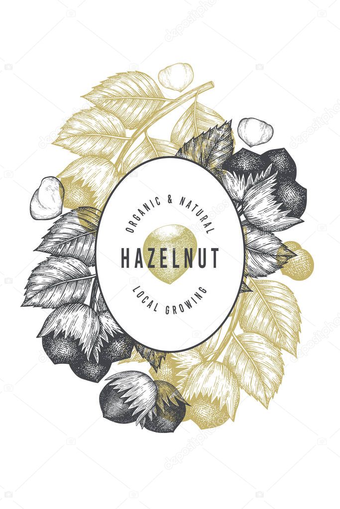 Hand drawn sketch hazelnut design template. Organic food vector illustration on white background. Vintage nut illustration. Engraved style botanical background.