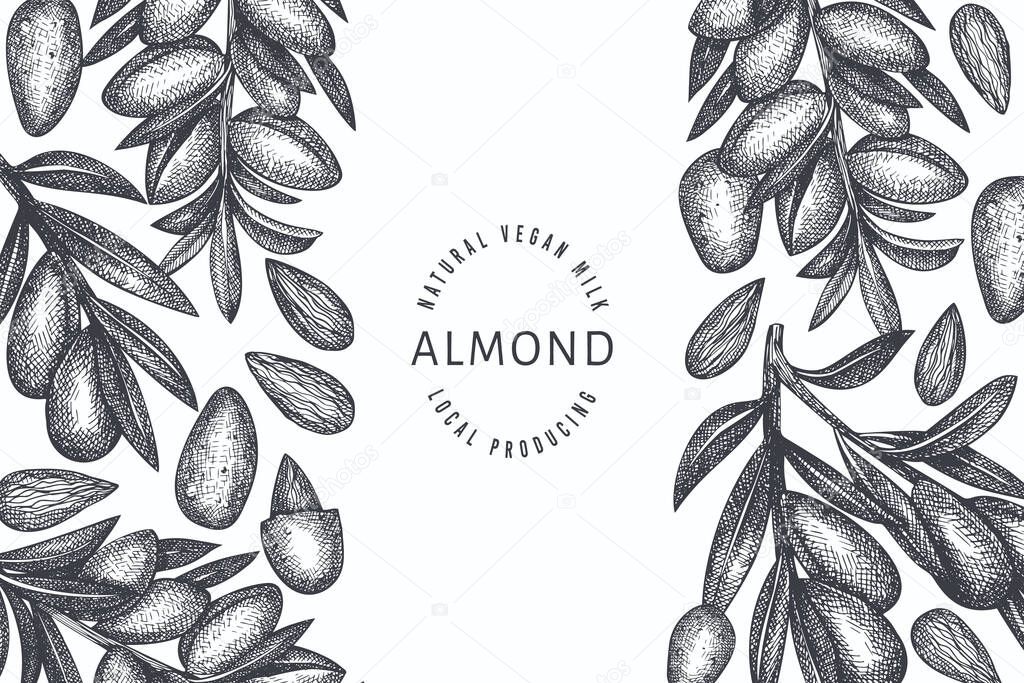 Hand drawn sketch almond design template. Organic food vector illustration. Retro nut illustration. Engraved style botanical background.