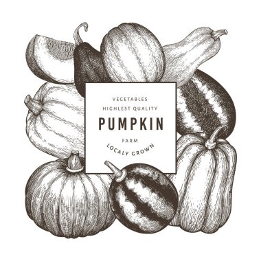 Balkabağı tasarım şablonu. Vektör el çizimleri. Balkabağı hasadıyla geçmişe dönük Şükran Günü arkaplanı. Sonbahar arkaplanı.