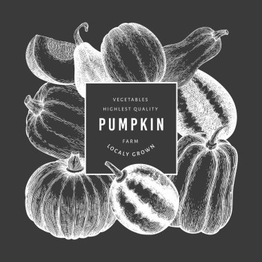 Balkabağı tasarım şablonu. Tebeşir tahtasında vektör el çizimleri. Balkabağı hasadıyla geçmişe dönük Şükran Günü arkaplanı. Sonbahar arkaplanı.