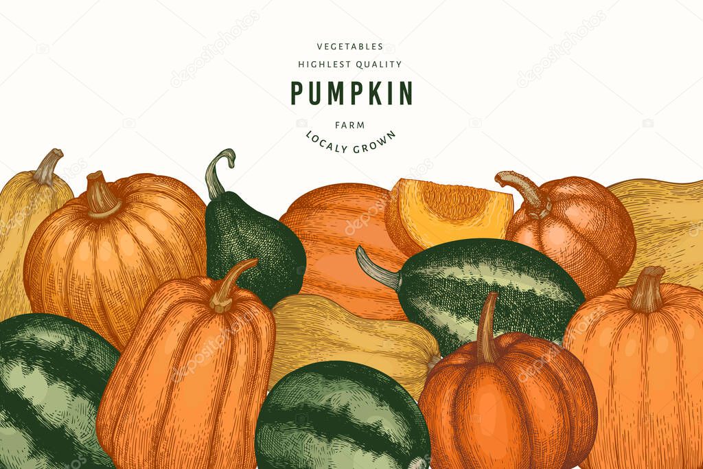 Pumpkin color design template. Vector hand drawn illustrations. Thanksgiving backdrop in retro style with pumpkin harvest. Autumn background.