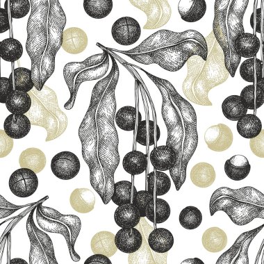 El yapımı Macadamia dalı ve çekirdekler pürüzsüz desen. Beyaz arka planda organik gıda vektör illüstrasyonu. Klasik fındık çizimi. İşlenmiş biçim botanik arkaplanı.