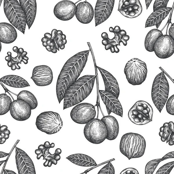 Ручной Рисунок Грецкий Орех Бесшовный Узор Органические Векторные Иллюстрации Питания — стоковый вектор