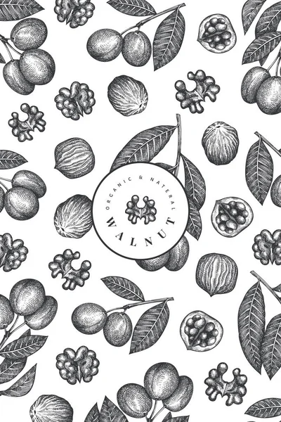 Kézzel Rajzolt Vázlat Dió Design Sablon Organikus Élelmiszer Vektor Illusztráció — Stock Vector