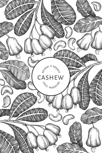 Handritad Skiss Cashew Design Mall Ekologisk Mat Vektor Illustration Vit — Stock vektor