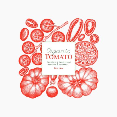 El Çizimi Domates Çizimi. Retro Sebze Tasarım Şablonu. Eski Tarla Yemekleri.