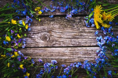 Eski ahşap bir masada güzel, küçük mavi çiçekler. Myosotis Sylvatica çiçekleri çerçevesi. Kopyalama alanı