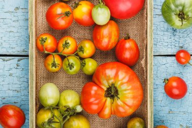 Farklı kırmızı ve yeşil domates, üstten görünüm kümesi