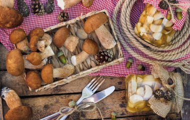Çiğ beyaz mantar, çam kozalakları kuru süslemeleri ile