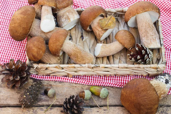 Cogumelos Cones Pinho Com Decorações Secas Sobre Mesa Madeira Fundo — Fotografia de Stock