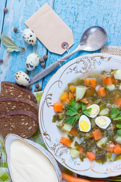 Prato Com Sopa Azeda Pão Legumes Diferentes Vista Superior — Fotografia de Stock