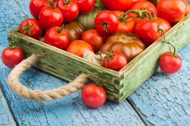 Ahşap tepsi, yumuşak odak arka plan olgun domates tür farklı set