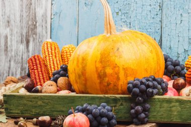 Kabak ve farklı sebze ve meyve, yumuşak odak arka plan