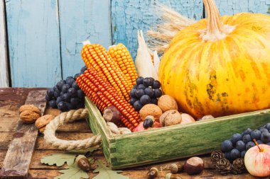 Kabak ve farklı sebze ve meyve, yumuşak odak arka plan