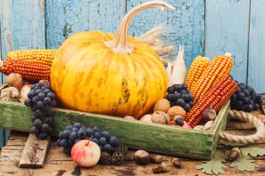 Kabak ve farklı sebze ve meyve, yumuşak odak arka plan