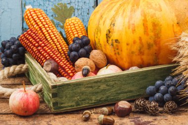 Kabak ve farklı sebze ve meyve, yumuşak odak arka plan