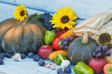 Kabak, ayçiçeği ve farklı olgun sebze, ahşap arka plan