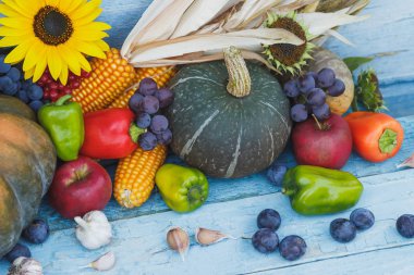 Kabak, ayçiçeği ve farklı olgun sebze, ahşap arka plan