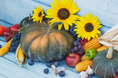 Kabak, ayçiçeği ve farklı olgun sebze, ahşap arka plan