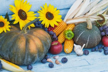 Kabak, ayçiçeği ve farklı sebze, ahşap arka plan