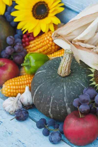 Kabak, ayçiçeği ve farklı sebze, ahşap arka plan