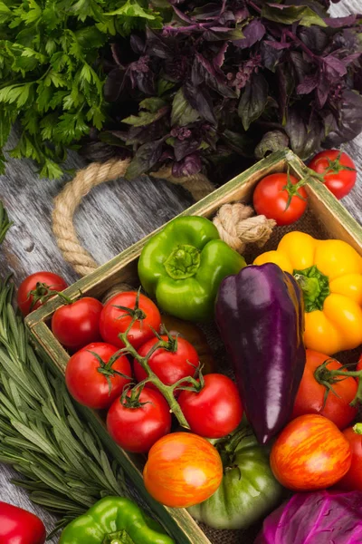 Set Different Fresh Raw Colorful Vegetables Wooden Tray Light Background — Stock Photo, Image