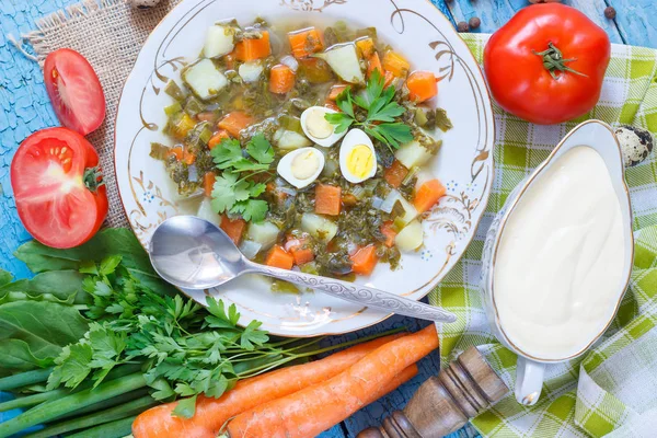 Prato Com Sopa Azeda Pão Legumes Diferentes Vista Superior — Fotografia de Stock