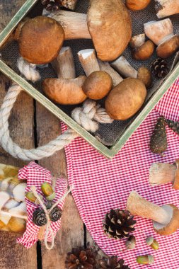 Vejetaryen kümesi: çiğ beyaz mantar, çam kozalakları ahşap masa üzerinde kuru süslemeleri ile