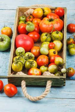 Ahşap tepside olgun domatesler, açık mavi ahşap arka plan