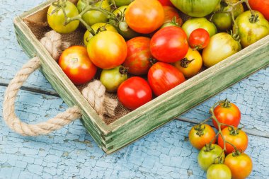 Ahşap tepside olgun domatesler, açık mavi ahşap arka plan