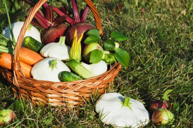 Sepet, yumuşak odak arka plan farklı taze sebze karışımı