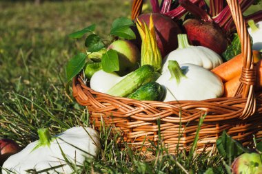 Farklı taze sebze sepeti, yumuşak odak arka plan