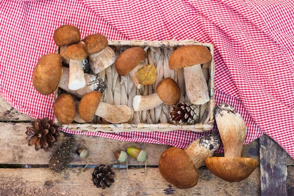 Ensemble Végétarien Champignons Blancs Crus Cônes Pin Avec Décorations Sèches — Photo