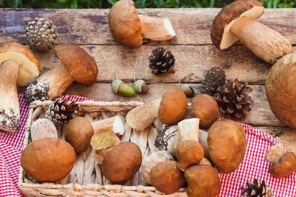Cogumelos Brancos Crus Cones Pinho Com Decorações Secas Mesa Madeira — Fotografia de Stock