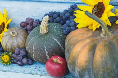 Kabak, ayçiçeği ve farklı sebze, ahşap arka plan